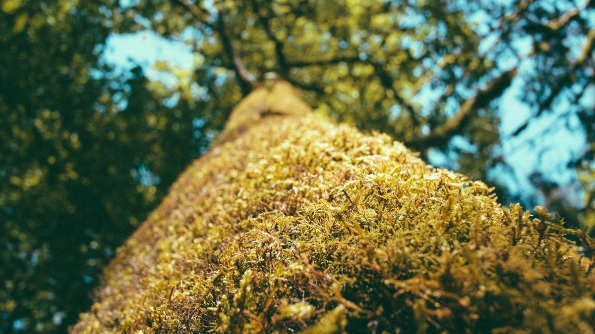 HDR Photography Explained: Bracketing, Tone Mapping and Natural-Looking Results