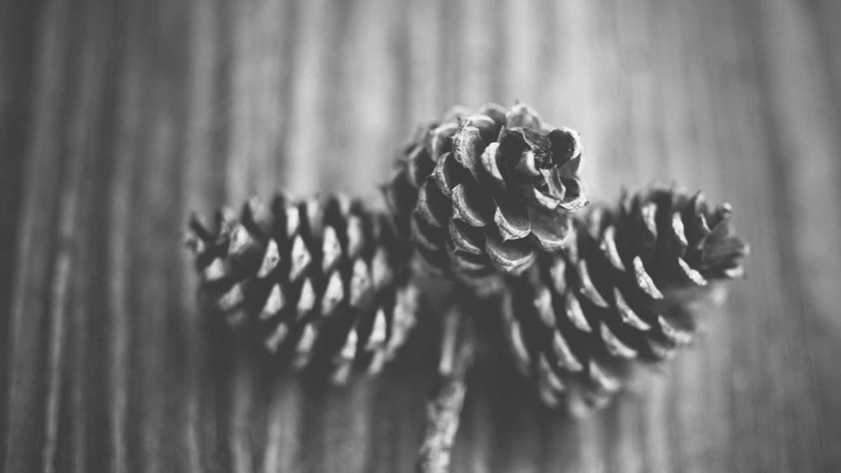 Lightroom Tips and Tricks: Hidden Features That Speed Up Your Editing Workflow