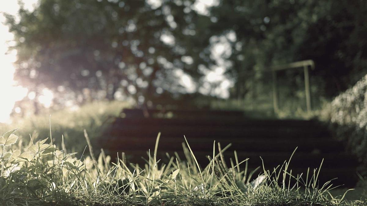 Pinterest Strategy for Photographers: Traffic with Optimized Pins and Boards